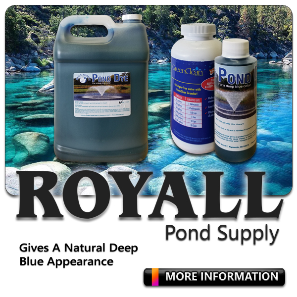 Royall Pond Supply